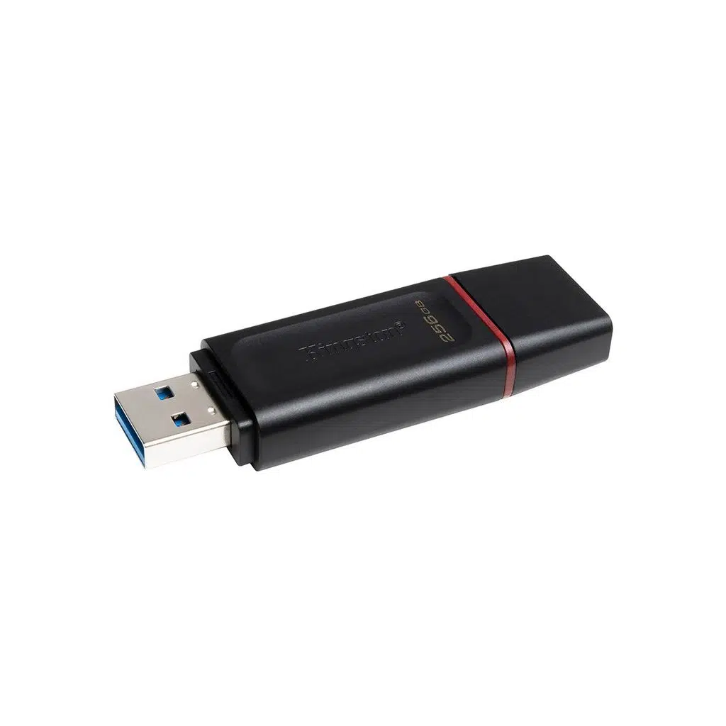 Kingston 256GB DataTraveler Exodia Usb3.2 Gen1 USB Bellek (DTX/256GB)