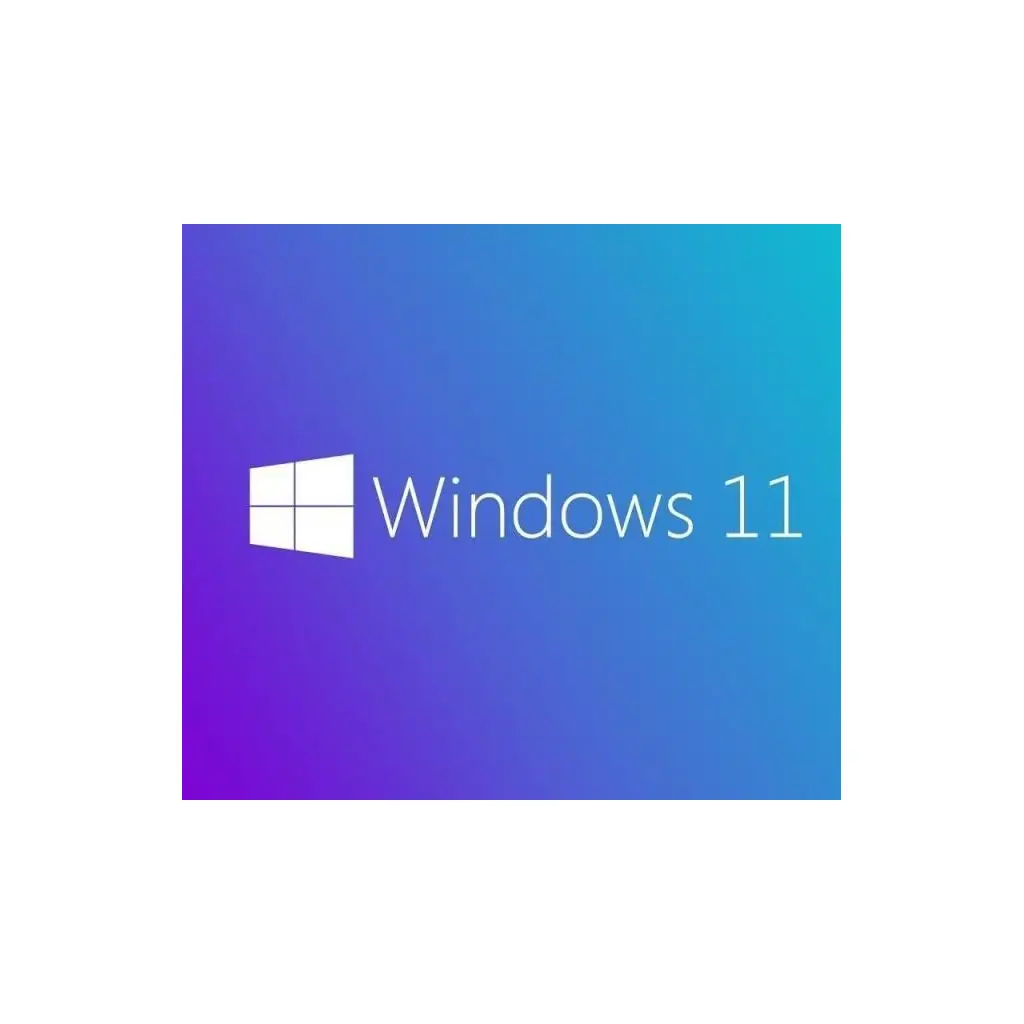MICROSOFT WINDOWS 11 PRO 64BIT INGILIZCE OEM FQC-10528